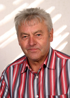 Hans Bauer, SPD